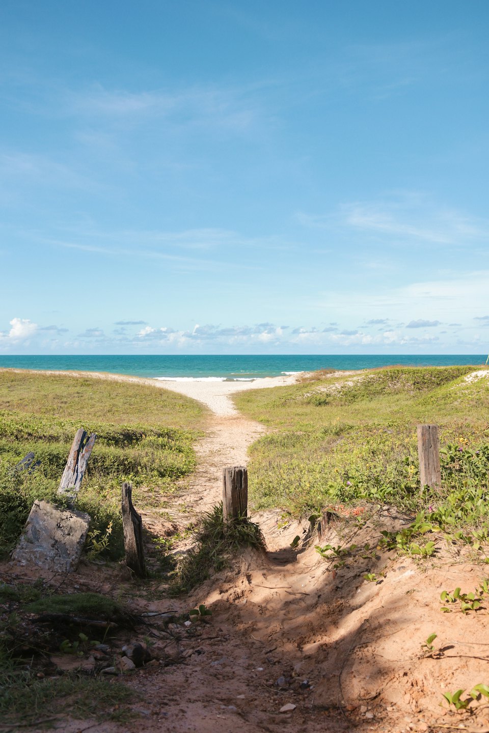 A sandy path winds through coastal dunes toward the ocean.
